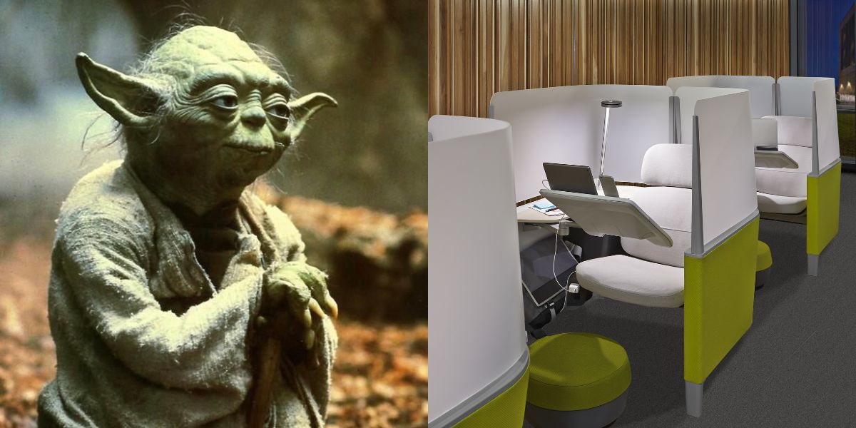 Yoda next to an image of Brody by Steelcase